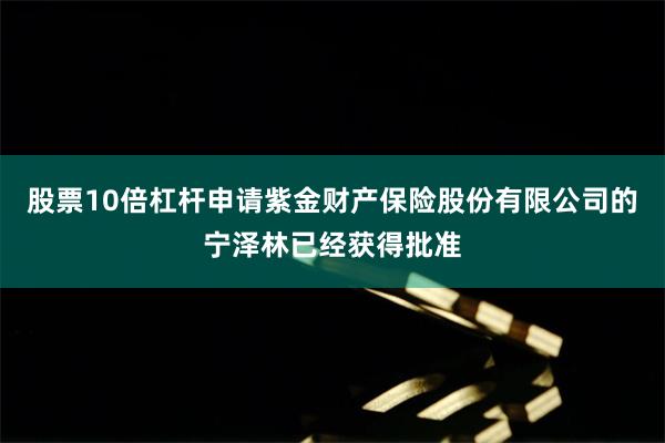 股票10倍杠杆申请紫金财产保险股份有限公司的宁泽林已经获得批准