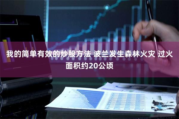 我的简单有效的炒股方法 波兰发生森林火灾 过火面积约20公顷