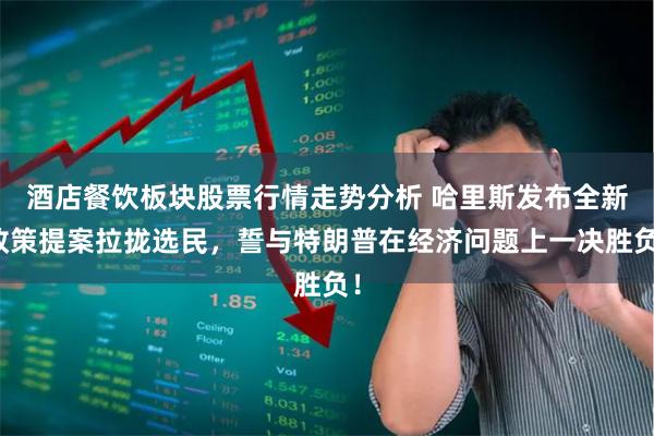 酒店餐饮板块股票行情走势分析 哈里斯发布全新政策提案拉拢选民，誓与特朗普在经济问题上一决胜负！