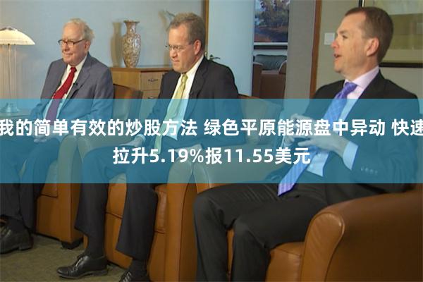 我的简单有效的炒股方法 绿色平原能源盘中异动 快速拉升5.19%报11.55美元