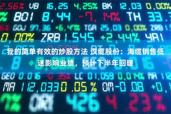 我的简单有效的炒股方法 汉缆股份：海缆销售低迷影响业绩，预计下半年回暖