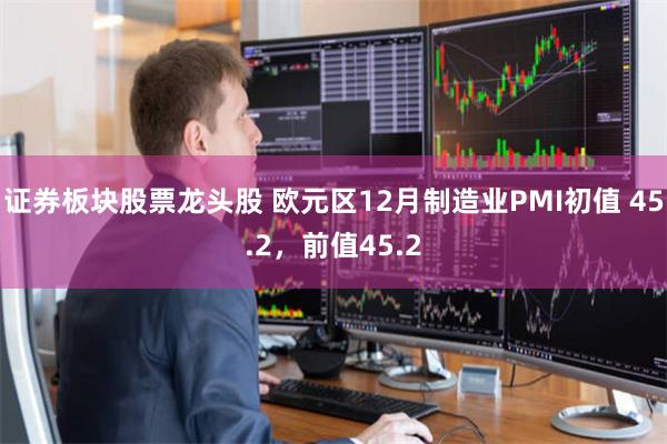 证券板块股票龙头股 欧元区12月制造业PMI初值 45.2，前值45.2